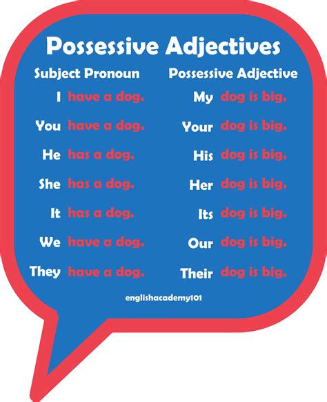 Using Possessive Adjectives